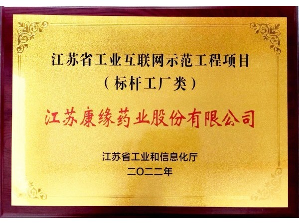 江蘇省工業(yè)互聯(lián)網(wǎng)示范工程項(xiàng)目“標(biāo)桿工廠類”